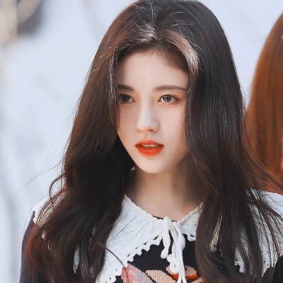 泡影昙花