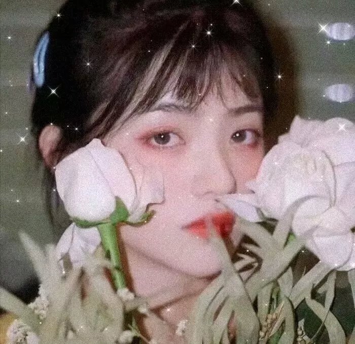 浪迹天涯